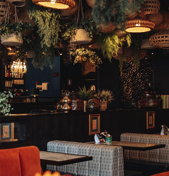 Restaurant with plants and wicker lights hanging from the ceiling. Bright and colourful fabric benches and wooden tables. 