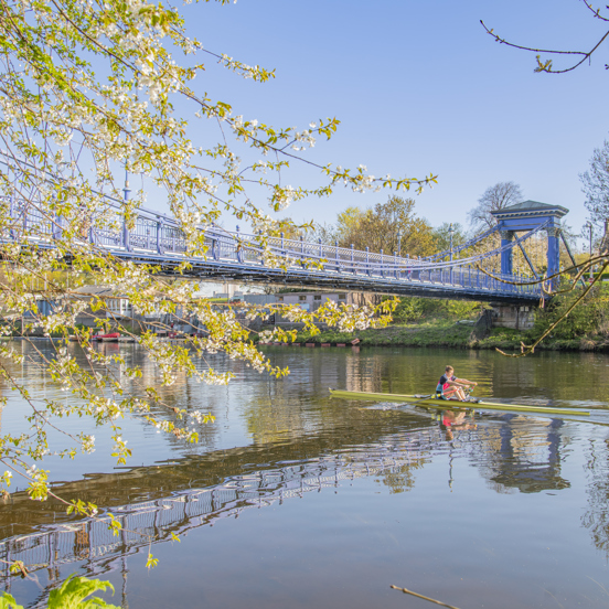 Sunny view of a rower on a single scull on the tree-lined River Clyde with the blue St Andrew's suspension footbridge in the background