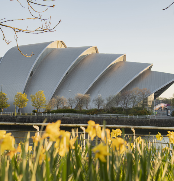View of the metal structure of the SEC Armadillo, that is reminiscent of the shape of an armadillo, with yellow daffodils in the foreground