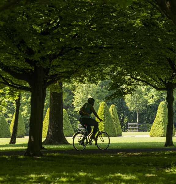 Lone cyclist under the trees in the greenery of Glasgow Green